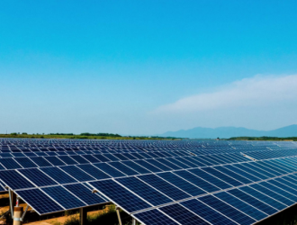 青海海东市互助县集中式300MW牧（林）光互补项目开工