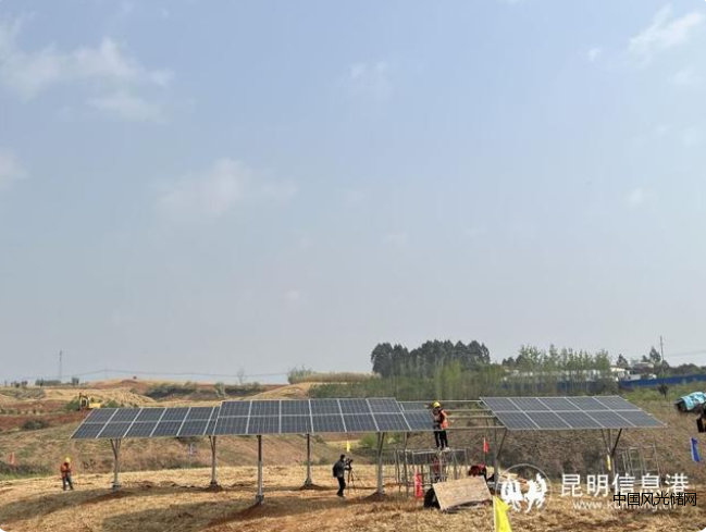 QQ截图20220330175339