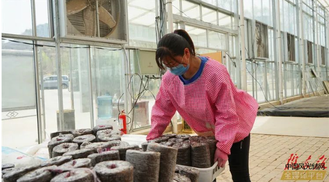 QQ截图20220418105023